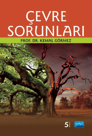 Çevre Sorunları