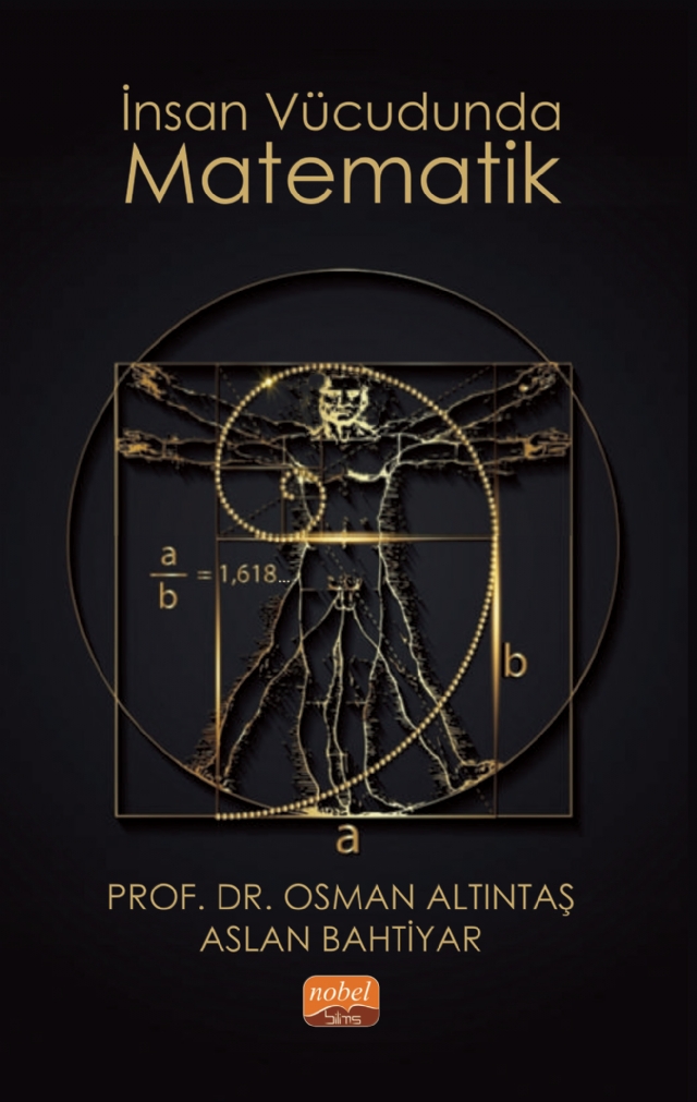 İnsan Vücudunda Matematik