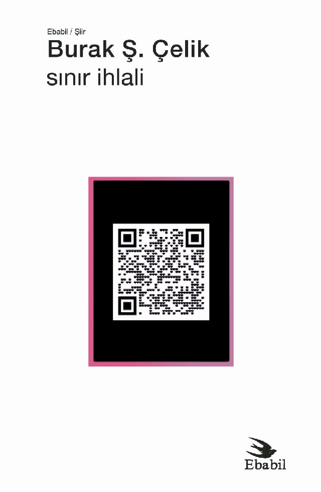 Sınır İhlali (Şiir)