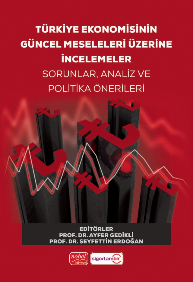 Türkiye Ekonomisinin Güncel Meseleleri Üzerine İncelemeler Sorunlar, Analiz ve Politika Önerileri