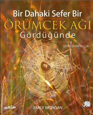 Bir Dahaki Sefer ÖRÜMCEK AĞI GÖRDÜĞÜNDE - Next Time You See a Spiderweb