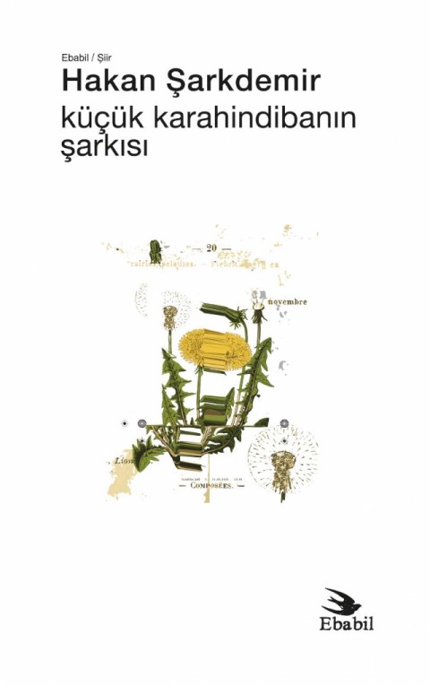 Küçük Karahindibanın Şarkısı (Şiir)