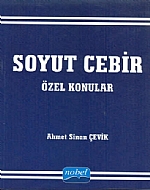 Soyut Cebir Özel konular